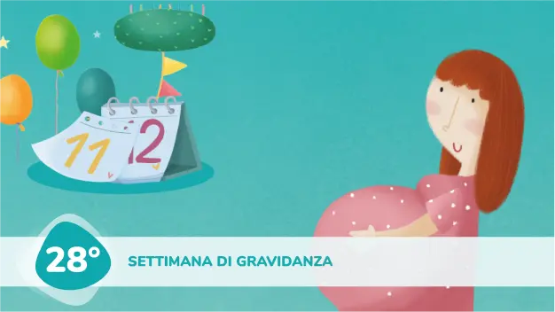 28 settimana