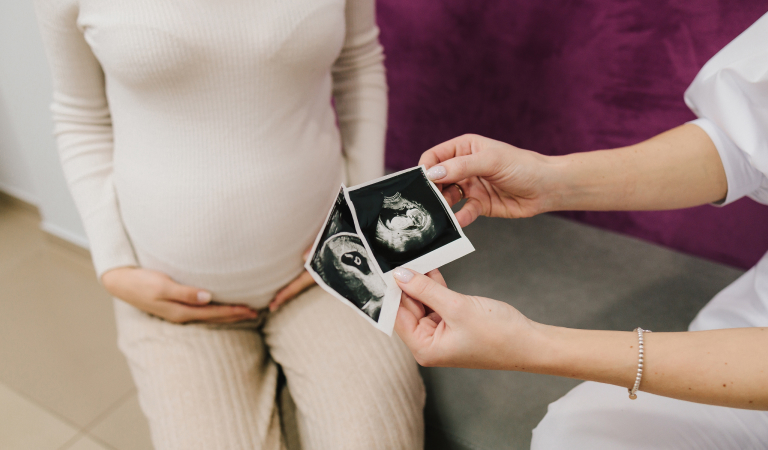 bimbo